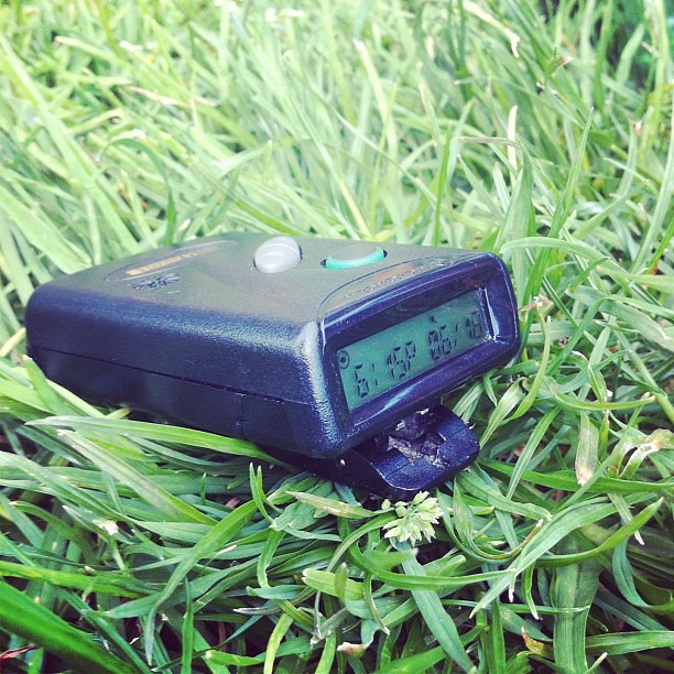 Pager in the Wild